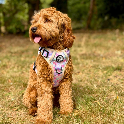 Rugged Rover™ Harness - Pretty Petals - The Bark Market