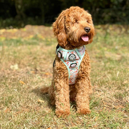 Rugged Rover™ Harness - Woodland Friends - The Bark Market