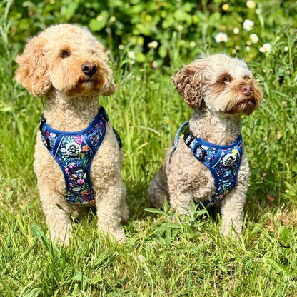 Rugged Rover™ Harness - Summer Meadow - The Bark Market