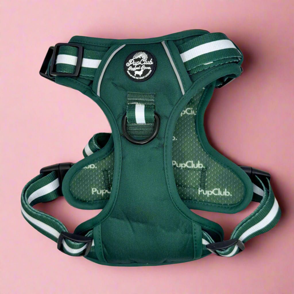 Rugged Rover™ Harness - Forest Green - The Bark Market