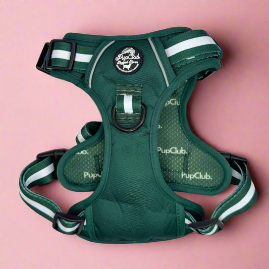 Rugged Rover™ Harness - Forest Green - The Bark Market