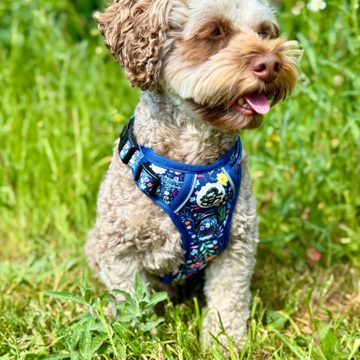Rugged Rover™ Harness - Summer Meadow - The Bark Market