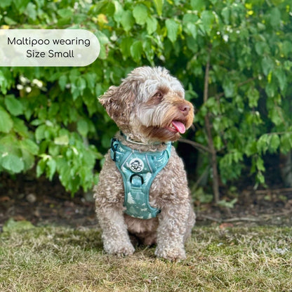 Rugged Rover™ Harness - Evergreen Trails - The Bark Market