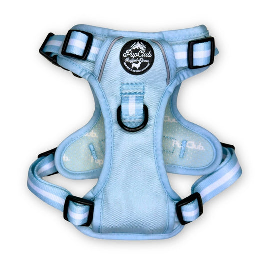 Rugged Rover™ Harness - Pastel Blue - The Bark Market