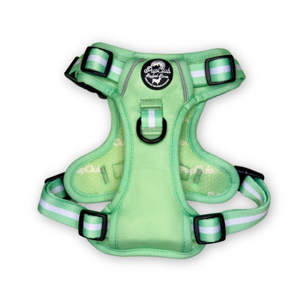 Rugged Rover™ Harness - Pastel Mint Green - The Bark Market