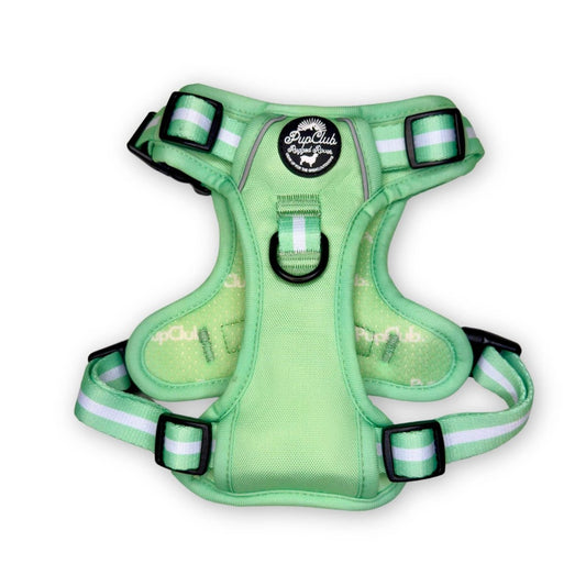 Rugged Rover™ Harness - Pastel Mint Green - The Bark Market