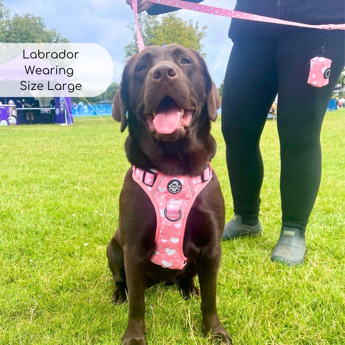 Rugged Rover™ Harness - Peachy Hearts - The Bark Market