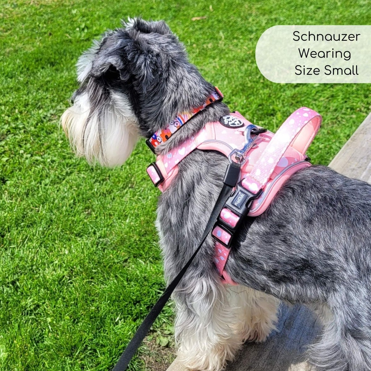 Rugged Rover™ Harness - Peachy Hearts - The Bark Market