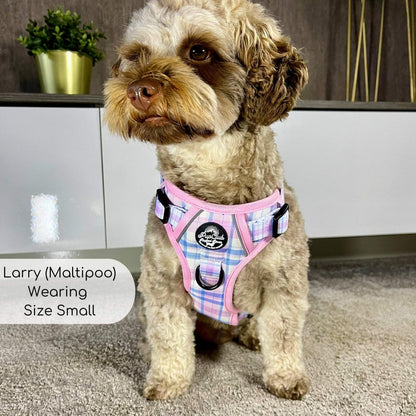 Rugged Rover™ Harness - Pink Tartan - The Bark Market