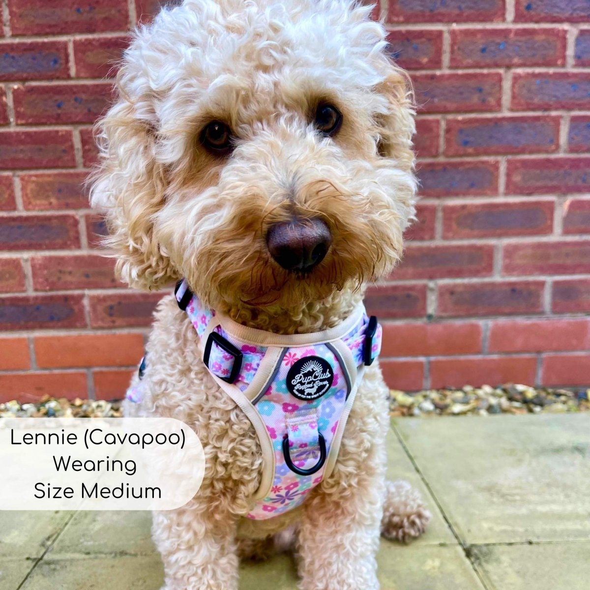 Rugged Rover™ Harness - Pretty Petals - The Bark Market