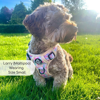 Rugged Rover™ Harness - Pretty Petals - The Bark Market