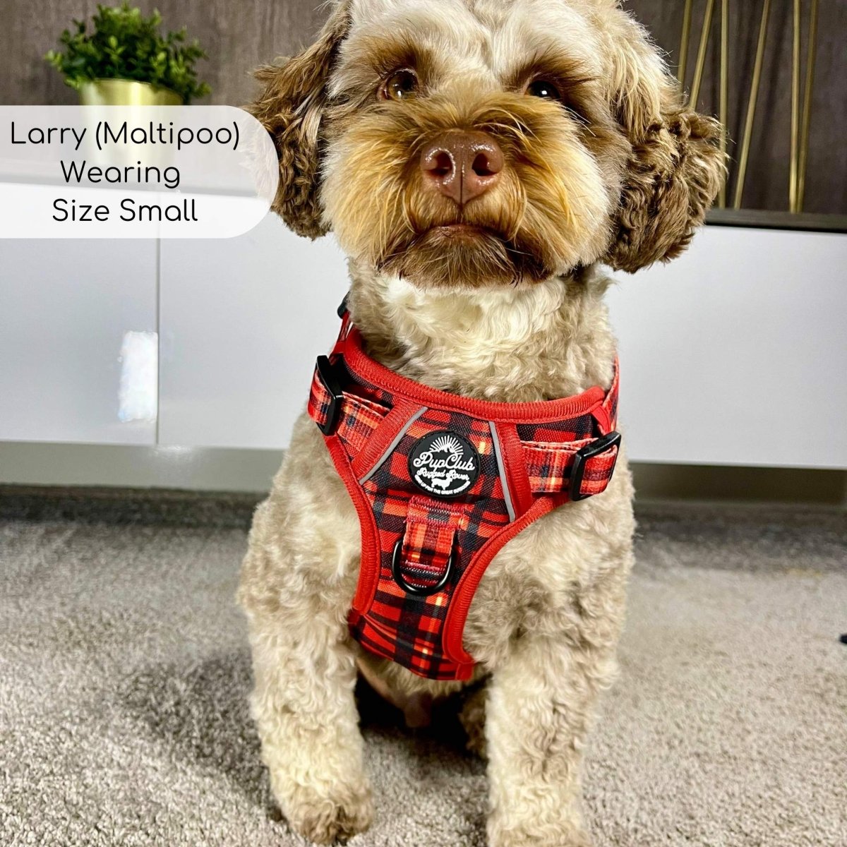 Rugged Rover™ Harness - Red Tartan - The Bark Market