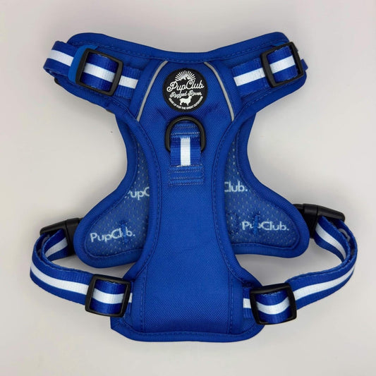 Rugged Rover™ Harness - Royal Blue - The Bark Market