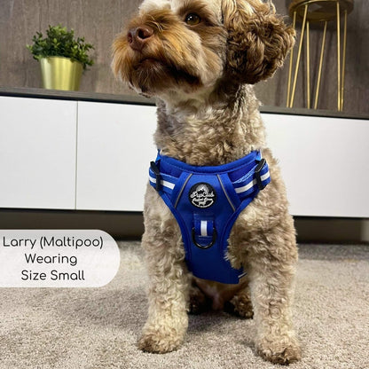 Rugged Rover™ Harness - Royal Blue - The Bark Market