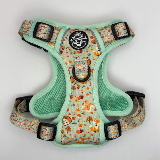 Rugged Rover™ Harness - Woodland Friends - The Bark Market