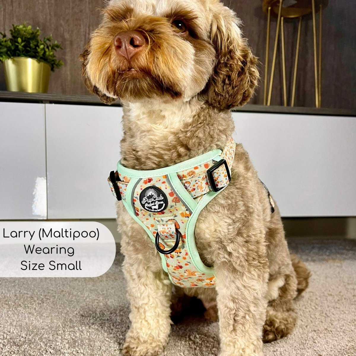 Rugged Rover™ Harness - Woodland Friends - The Bark Market