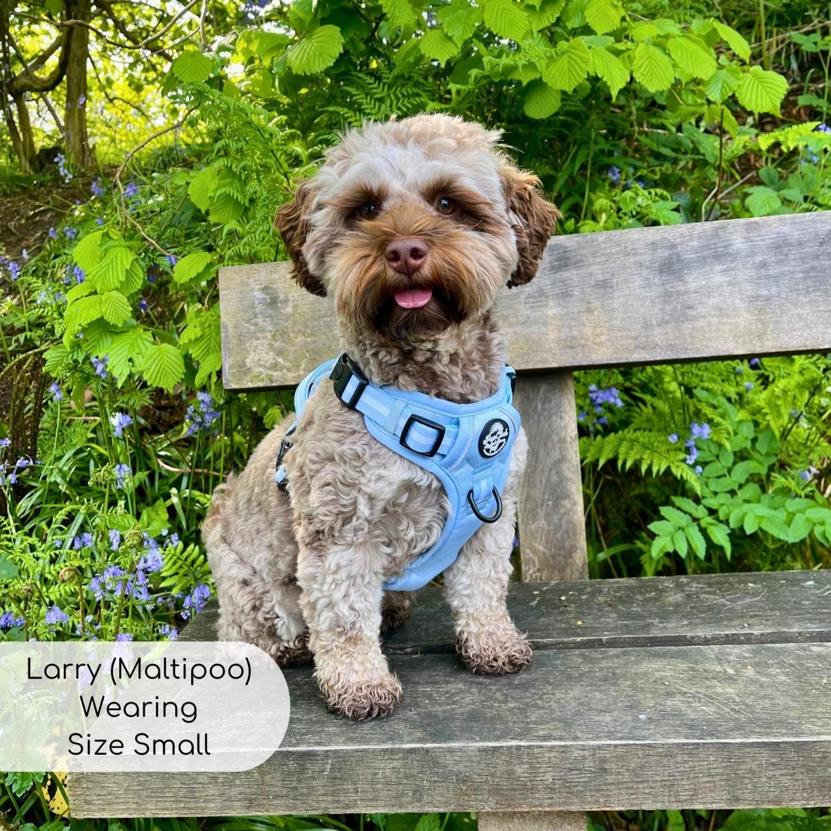 Rugged Rover™ Harness - Pastel Blue - The Bark Market