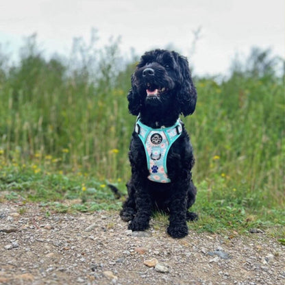 Rugged Rover™ Harness - Pastel Daisy - The Bark Market