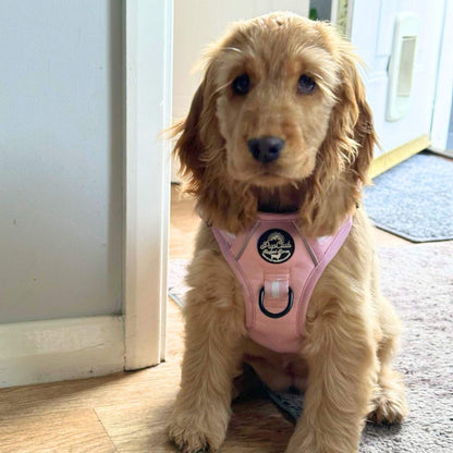 Rugged Rover™ Harness - Pastel Pink - The Bark Market
