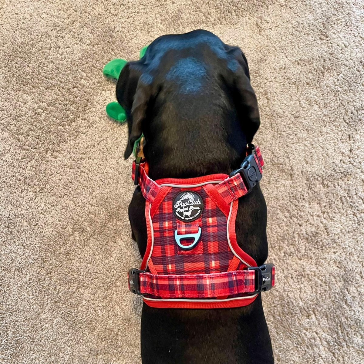 Rugged Rover™ Harness - Red Tartan - The Bark Market