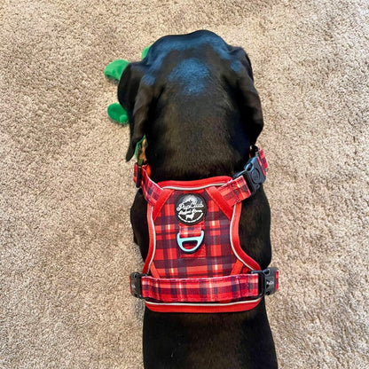 Rugged Rover™ Harness - Red Tartan - The Bark Market