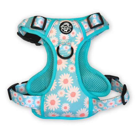 Rugged Rover™ Harness - Pastel Daisy - The Bark Market