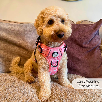 Rugged Rover™ Harness - Peachy Hearts - The Bark Market