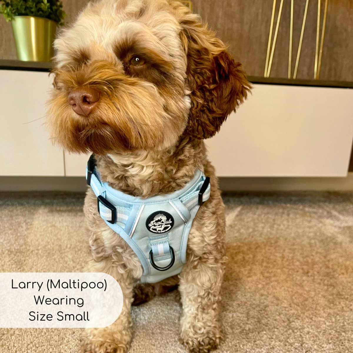 Rugged Rover™ Harness - Pastel Blue - The Bark Market