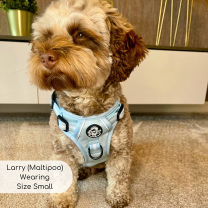 Rugged Rover™ Harness - Pastel Blue - The Bark Market