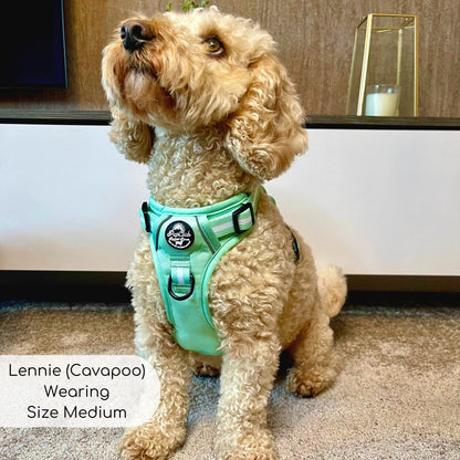 Rugged Rover™ Harness - Pastel Mint Green - The Bark Market
