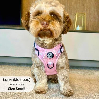 Rugged Rover™ Harness - Pastel Pink - The Bark Market