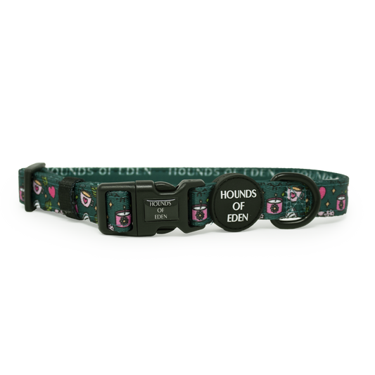 Self Care Design Dog Collar - The Bark Market