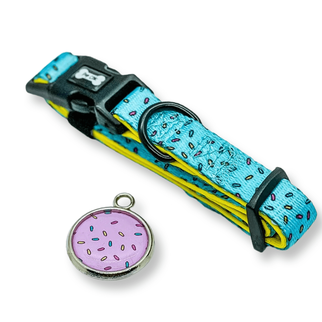 Sprinkles For Days Collar - pink or blue sprinkles dog collar