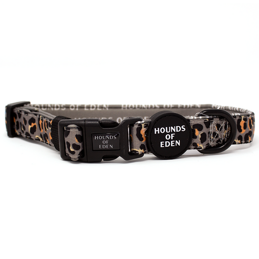 'Steel Leopard' - Khaki/Grey Dog Collar - The Bark Market