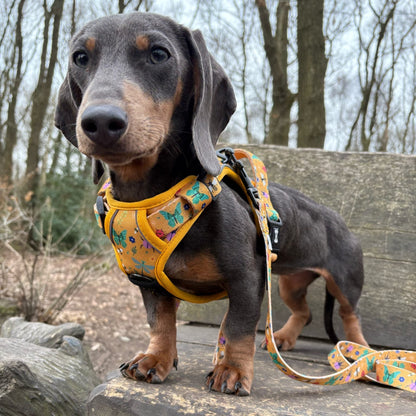 Summer Buzzin' No Pull Tactical Dog Harness – Yellow Insect Print, Adjustable, Step-In (XS-XL)