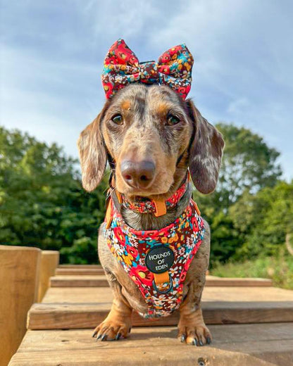 Retro Bloom Dog Harness (XXS & XS) - The Bark Market