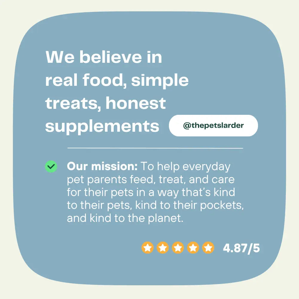 Turkey Neck Natural Meat Chew For Dogs