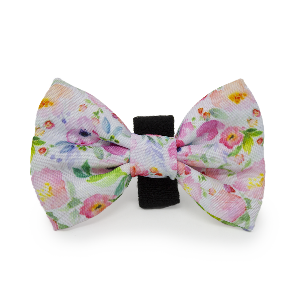Ziggy's Secret Garden Design Dog Collar - The Bark Market
