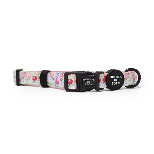Ziggy's Secret Garden Design Dog Collar - The Bark Market