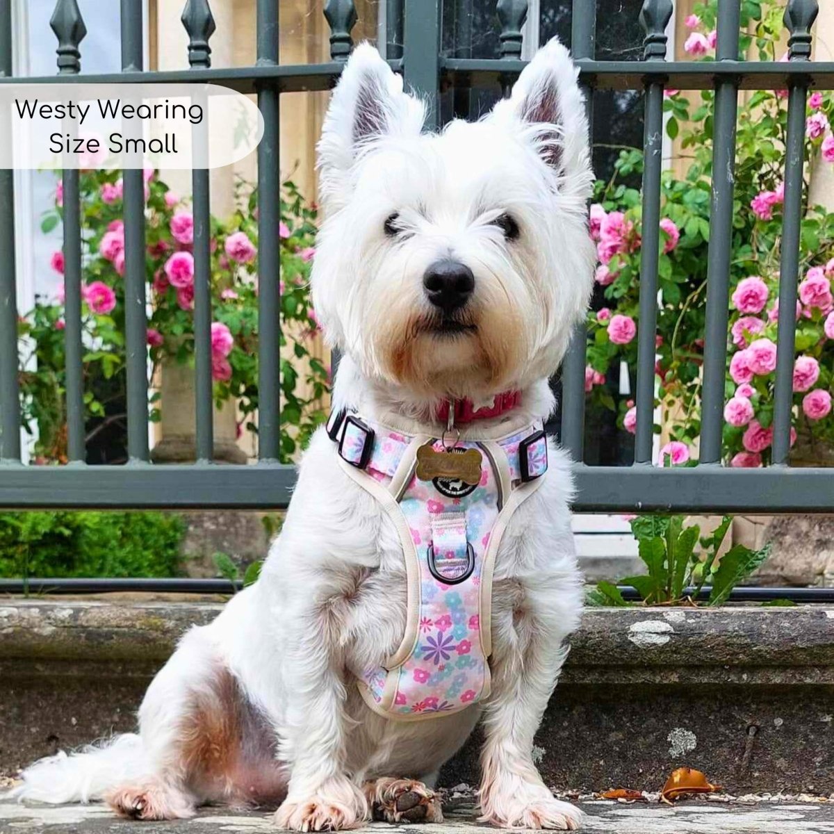 Rugged Rover™ Harness - Pretty Petals - The Bark Market