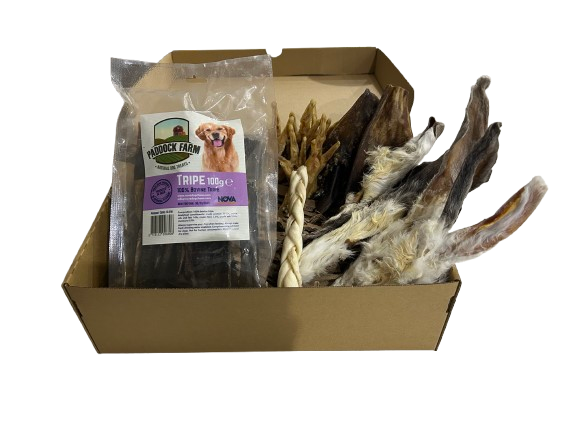 100% Natural Dog Treat Bundle Mini (Mystery Box) 15+ Treats!