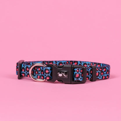 The Willow Dog Collar - The Bark Market