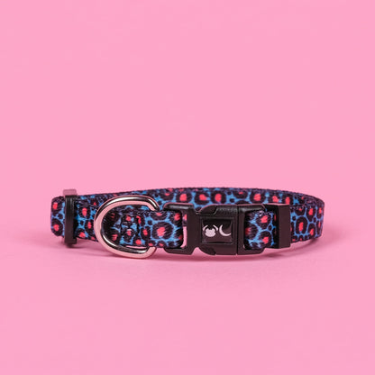 The Willow Dog Collar - The Bark Market