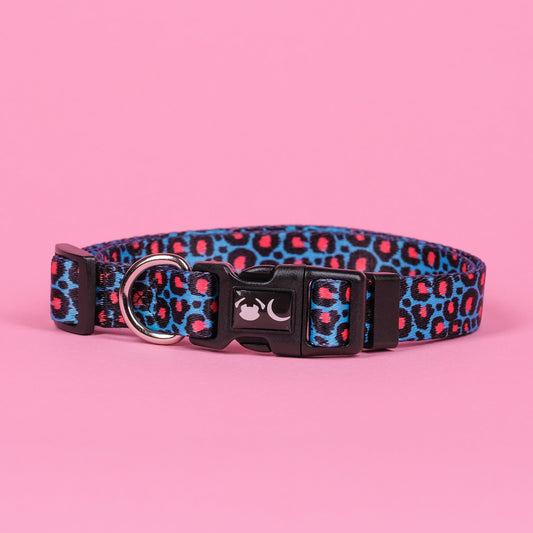 The Willow Dog Collar - The Bark Market