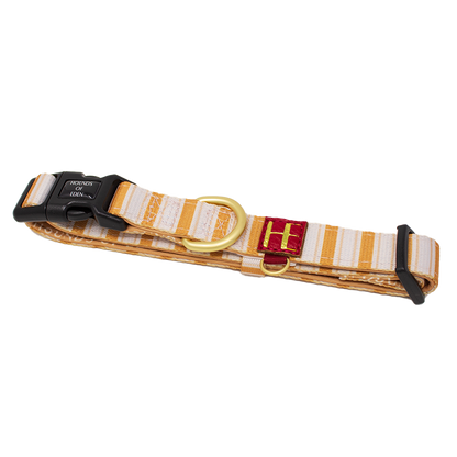 Harrold + Hattie Bears Dog Harness (XXS-XS) - The Bark Market