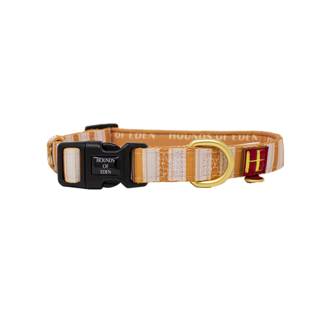Harrold + Hattie Bears Dog Harness (XXS-XS) - The Bark Market