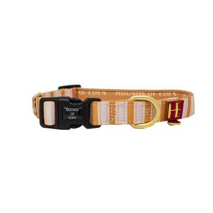 Harrold + Hattie Bears Dog Harness (XXS-XS) - The Bark Market