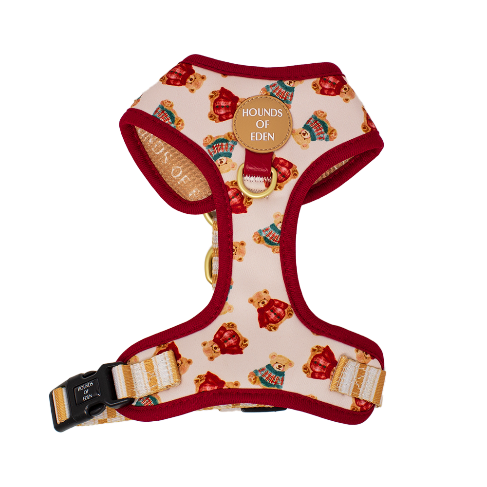 Harrold + Hattie Bears Dog Harness (XXS-XS) - The Bark Market