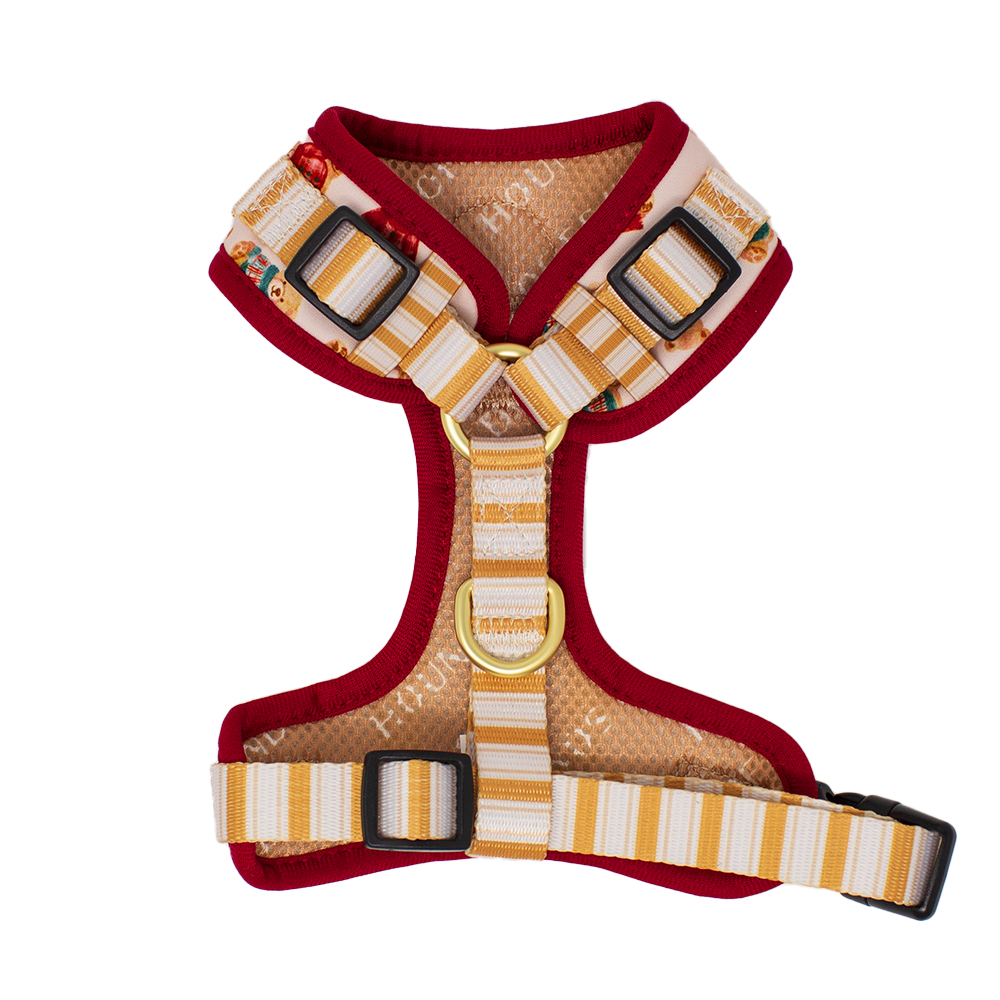 Harrold + Hattie Bears Dog Harness (XXS-XS) - The Bark Market