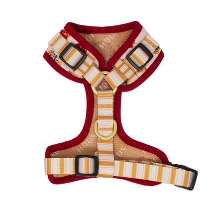 Harrold + Hattie Bears Dog Harness (XXS-XS) - The Bark Market